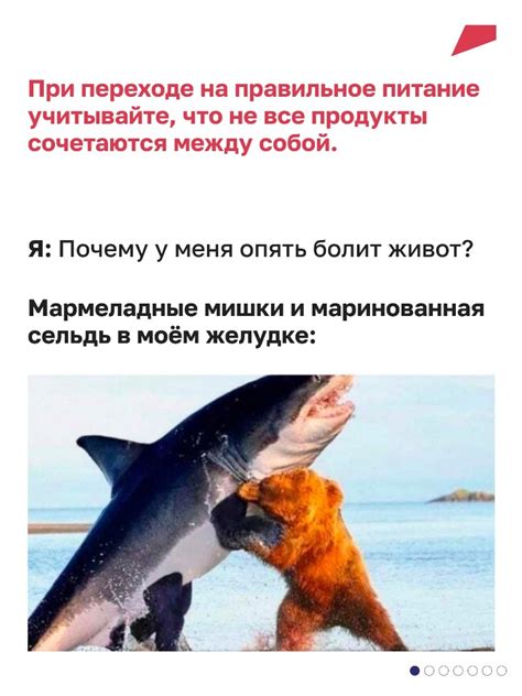 Разгадайте загадку секретного уровня с акулой безжалостным злодеем