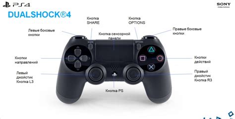 Расположение кнопки L на джойстике PlayStation 4