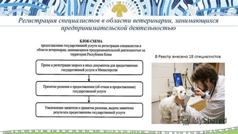 Результаты исследования ветеринарными специалистами: сравнение Grandorf и Grandin