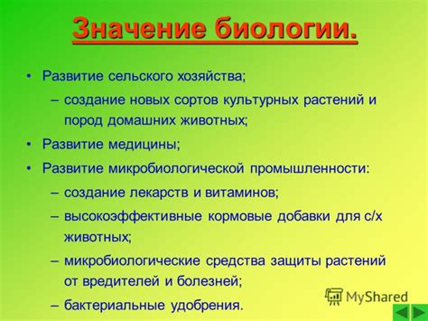 Роль и значение датчика окружающей среды в автомобильной системе