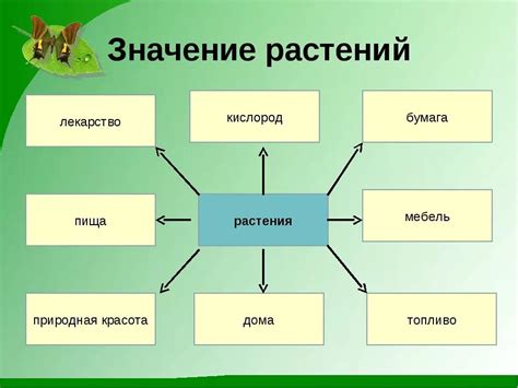Роль и значение лернаина в игре