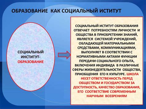 Роль казначея в обществе садоводства: новое воззрение и суть его задач