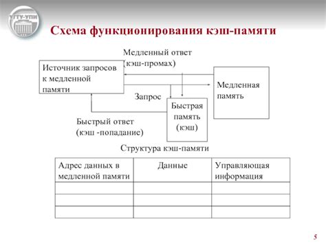 Роль кэш-памяти в сетевом взаимодействии