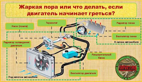 Роль системы отопления в автомобиле Nissan Sunny