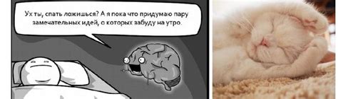 Связь между сновидениями и реальной жизнью