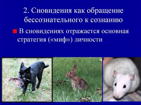 Сновидения как проявление бессознательного мира