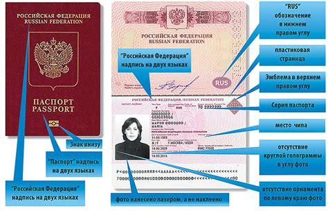 Содержание данных о выдавшем органе в заграничном паспорте