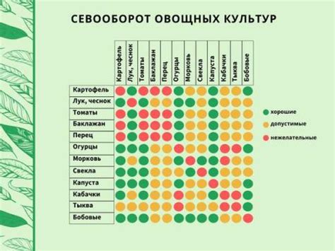 Сравнение питательных веществ в Grandorf и Grandin