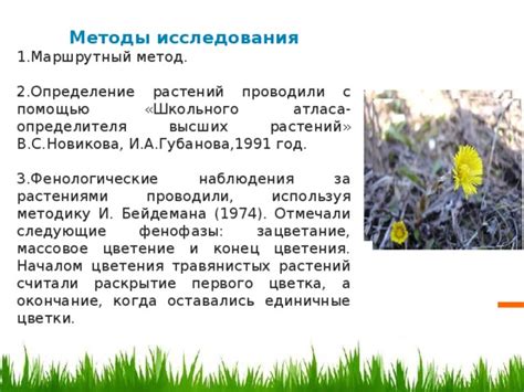 Увеличение цветения растений с помощью эпина: действенность и преимущества