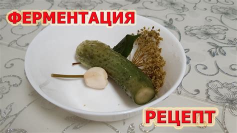 Ферментация огурцов и их потенциальные риски для здоровья