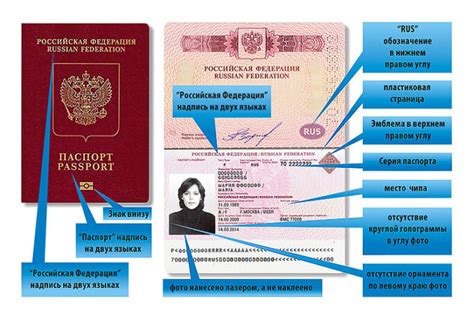 Формат и основные элементы российского паспорта
