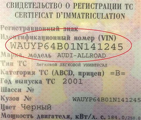 Что такое VIN-номер и как его использовать