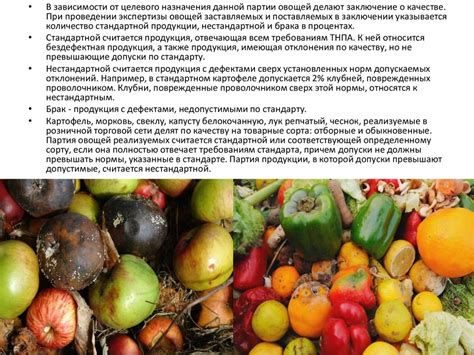 Эффективные советы для прямого сбора свежих плодов