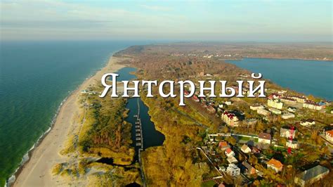 Янтарный берег Калининградской области: бархатный белый чай