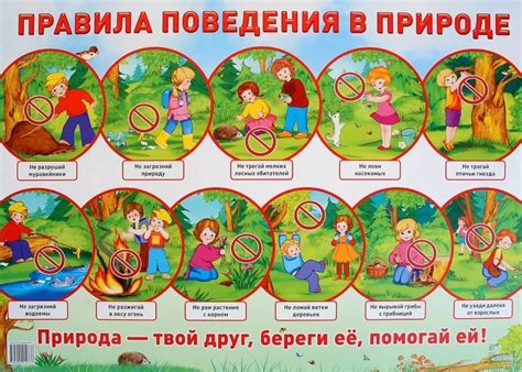  Наблюдения в дикой природе: свидетельства о прогулках на задних лапах
