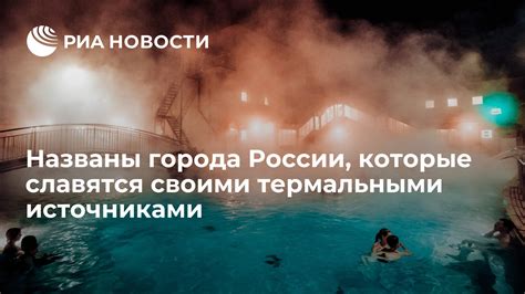  Регионы России, которые славятся количеством медведей и причины этого явления 