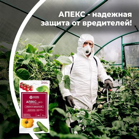  Режимы ограничения для кастомных сценариев в Апекс: нормы, защита и негативные последствия 