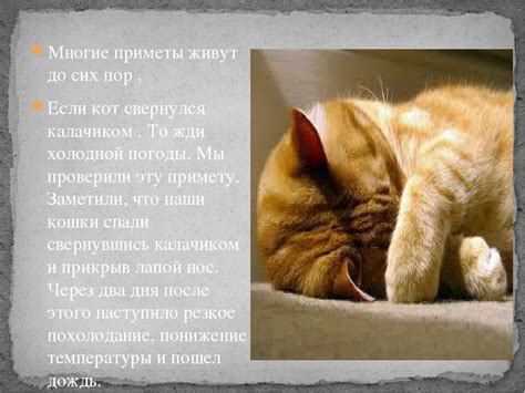  Реставрация обуви во сне: скрытые символы и разгадка
