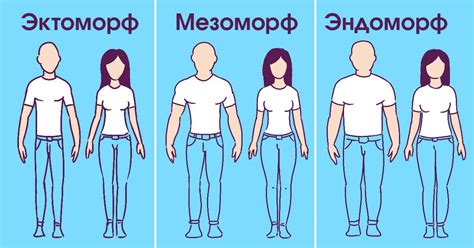  Физическая статура в отношениях: преимущества и сложности различной высоты партнеров 