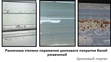 Важные детали о цинковом покрытии