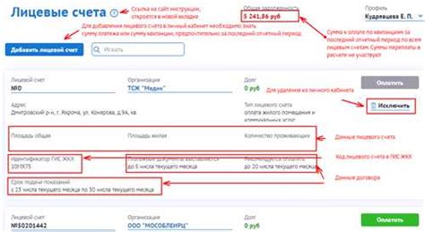 Ввод адреса и получение лицевого счета