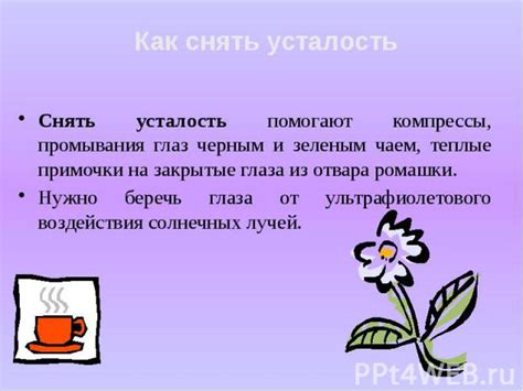 Влияние отвара ромашки на кошек