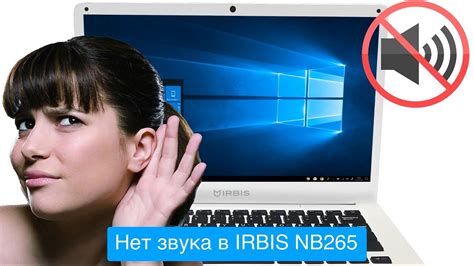 Возможные причины отсутствия звука на ноутбуке irbis