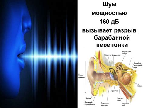Громкий шум и вибрация