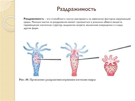 Изменение окружающей среды клеток