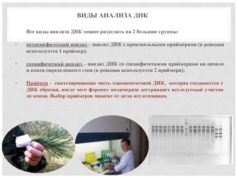 Использование генетических методов