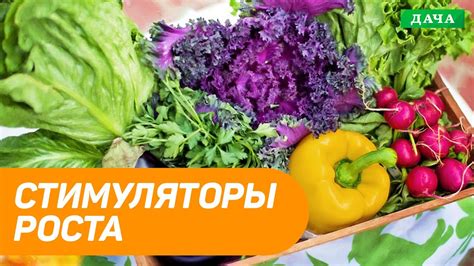 Использование стимуляторов роста клеток