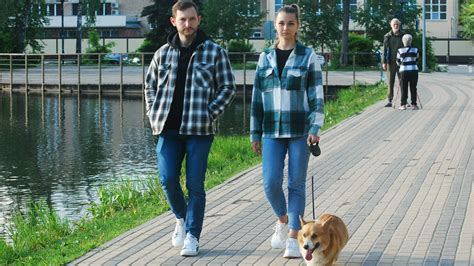 Как защитить своих питомцев от вреда геля дохлокс