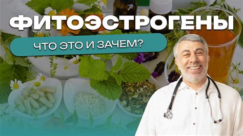 Квас и фитоэстрогены