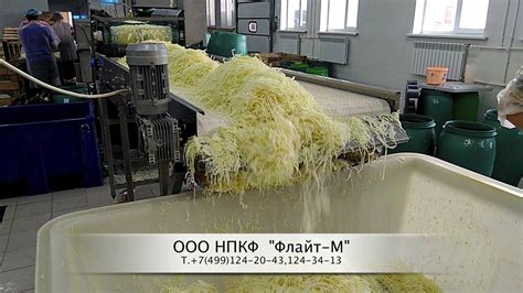 Мифы и реальность квашения капусты в алюминиевой кастрюле