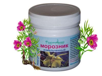 Морозник для похудения: сроки начала действия