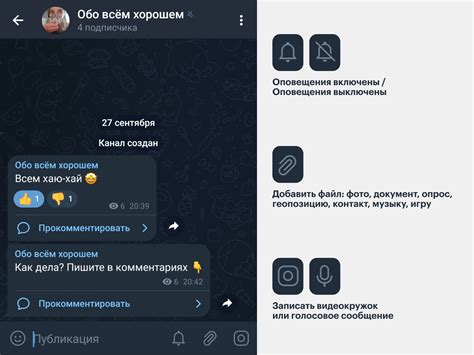Настройки аудио в видеозвонке Телеграм