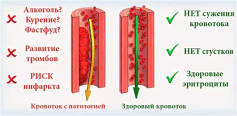Необходимые условия при хранении свиной крови