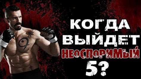 Новые факты: неоспоримый 5 поражает мировое сообщество