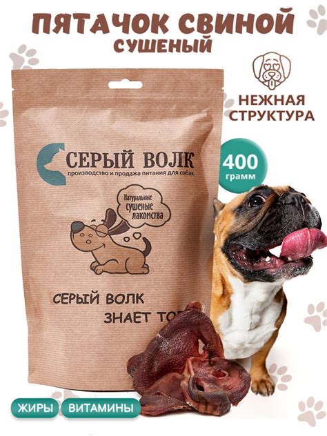 Основные правила выбора свиной шкуры для собак