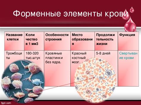 Особенности замораживания свиной крови
