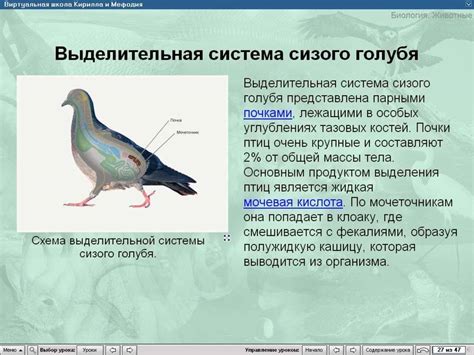 О роли горчицы в размножении птиц
