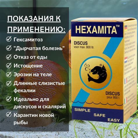 Польза аквариумной зеленки для рыб