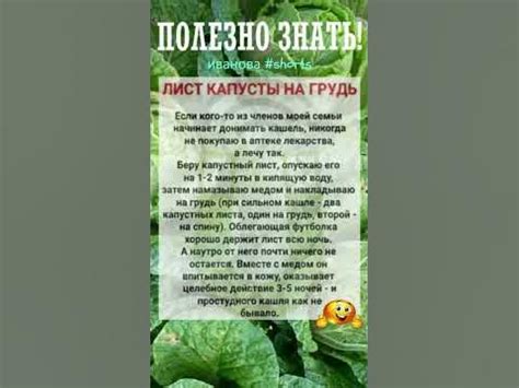 Преимущества применения капустного листа