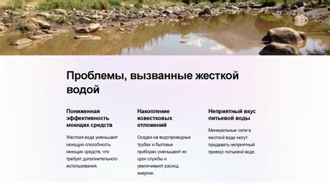 Проблемы, вызванные наличием сахарозы в древесине