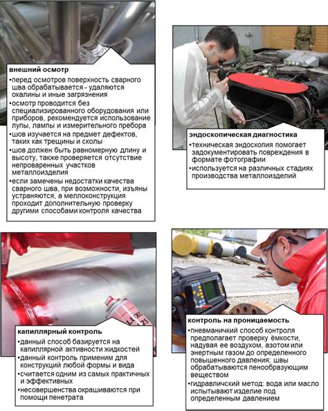 Проверка качества и использование сохраненной шефердию