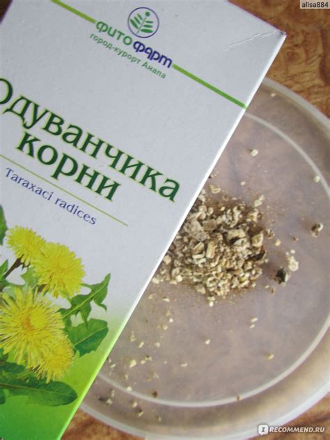 Противопоказания при употреблении сырого корня одуванчика