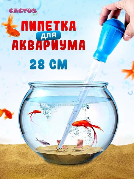 Способы очистки аквариума и ухода за рыбками