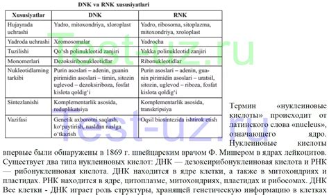Сходства и различия между баралгином и но-шпой