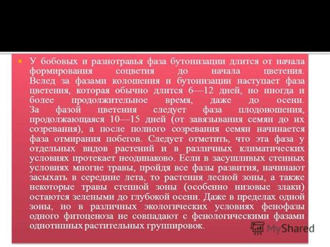 Фаза бутонизации