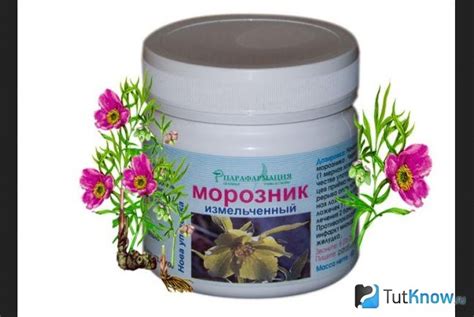 Факторы, влияющие на начало действия морозника для похудения